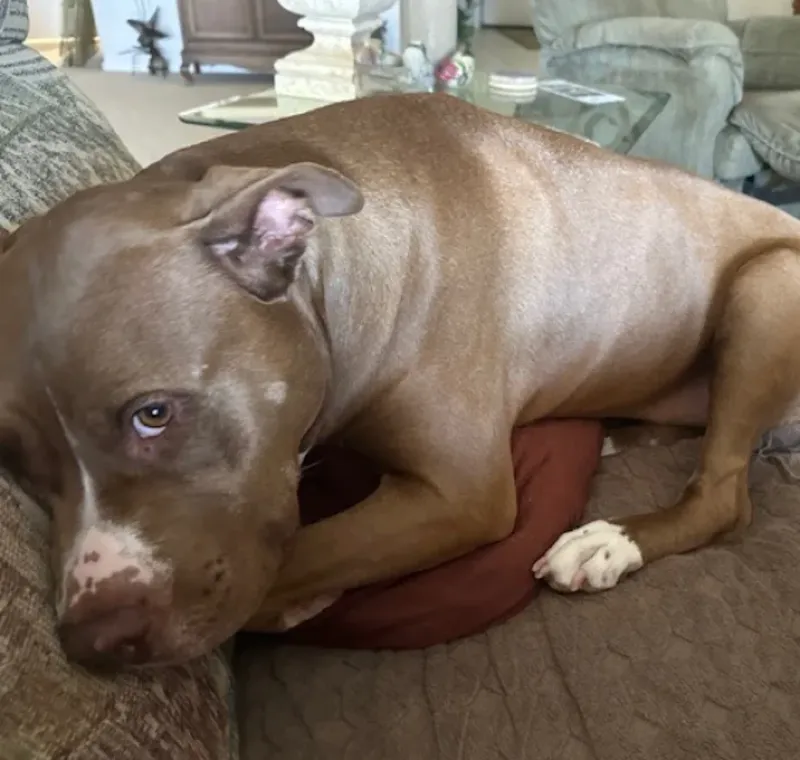 Mia
