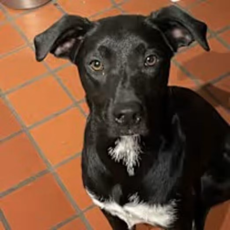 Mimi